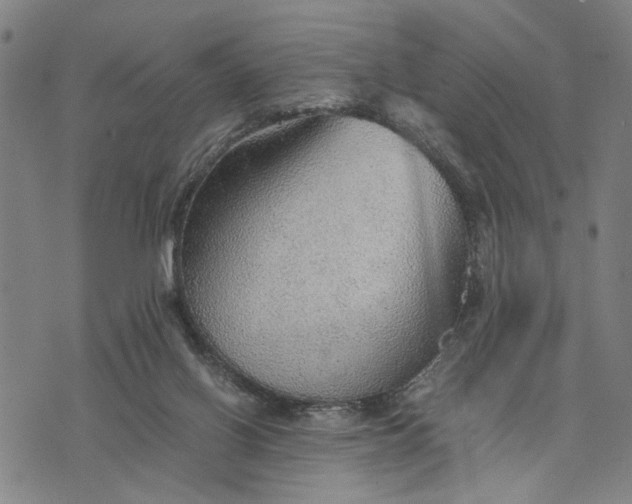 X0000076350070200610161809