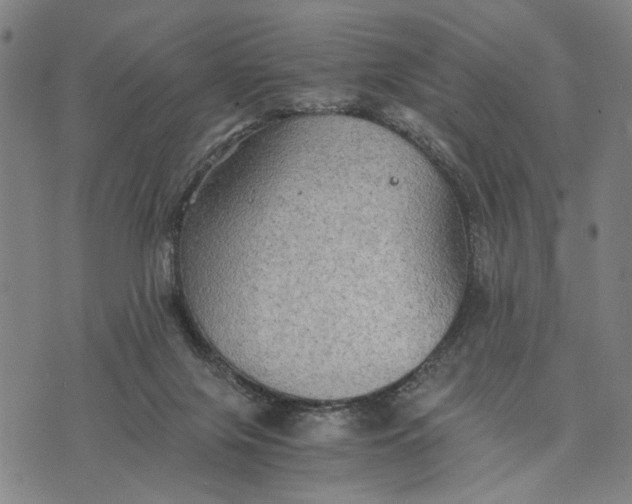 X0000076350071200610161809