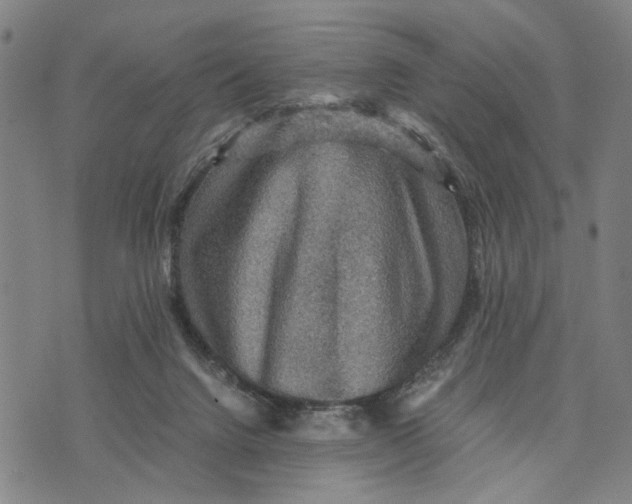 X0000076350072200610161809