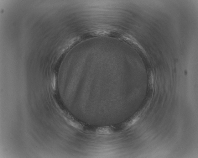 X0000076350076200610161809