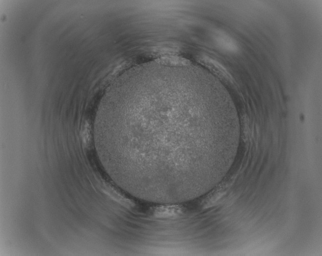 X0000076350077200610161809