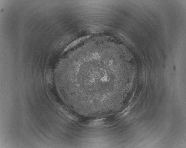 X0000076350078200610161809