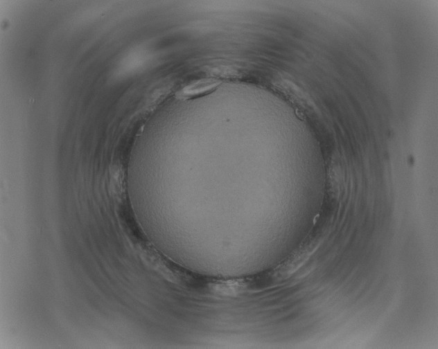 X0000076350079200610161809