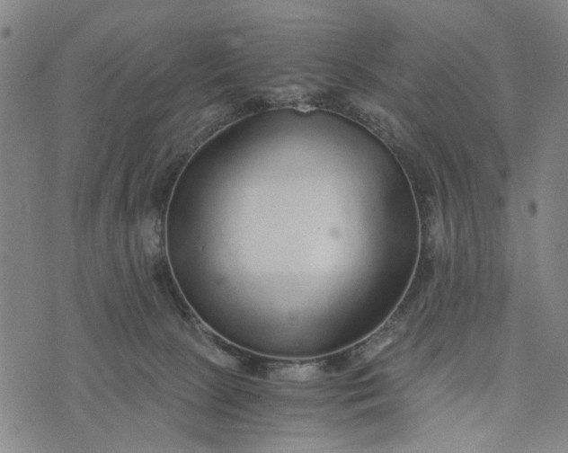 X0000076350081200610161809