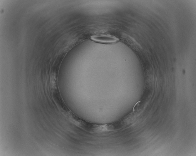 X0000076350083200610161809