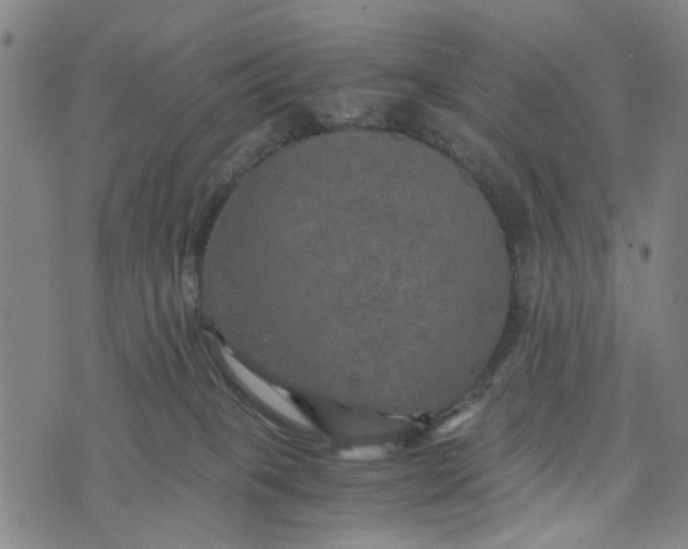 X0000076350085200610161809