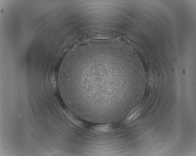 X0000076350086200610161809