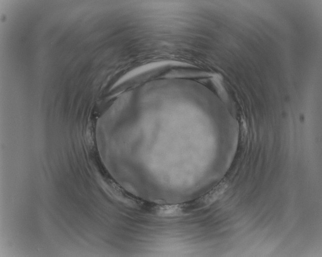 X0000076350088200610161809