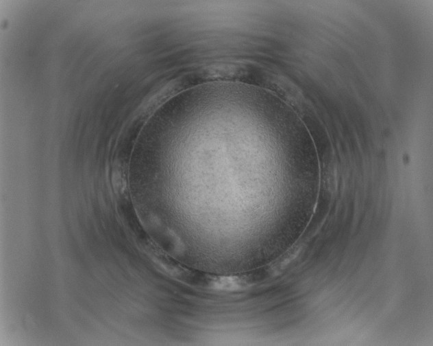 X0000076350091200610161809