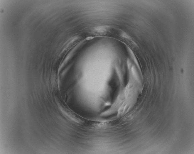 X0000076350092200610161809