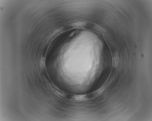 X0000076350093200610161809