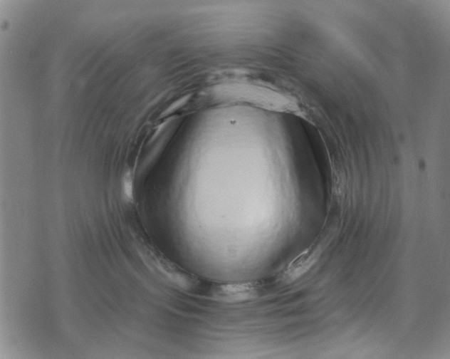 X0000076350095200610161810