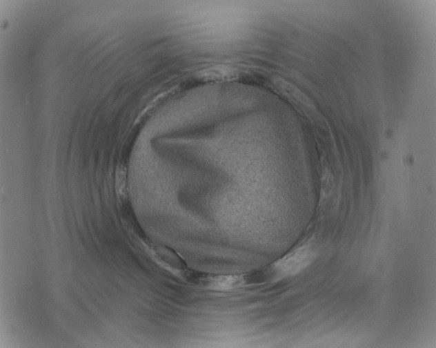 X0000076350096200610161810