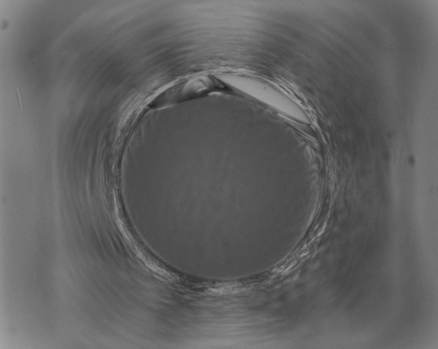 X0000076350097200610161809