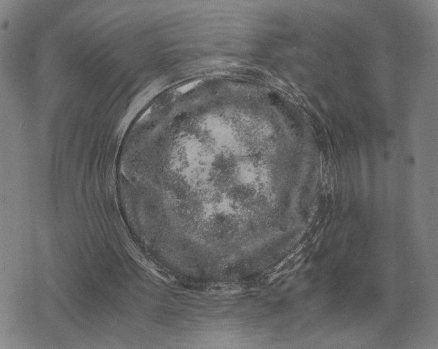 X0000076350099200610161809