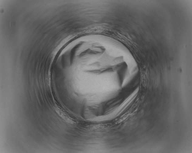 X0000076350100200610161809