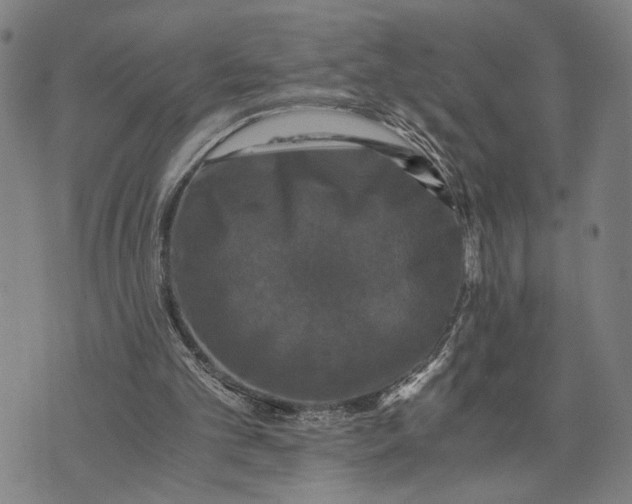 X0000076350101200610161809