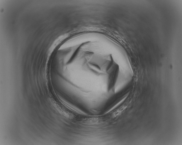 X0000076350104200610161809