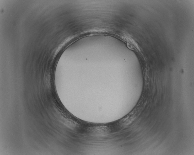 X0000076350108200610161809