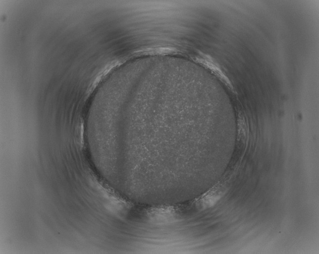 X0000076350110200610161809