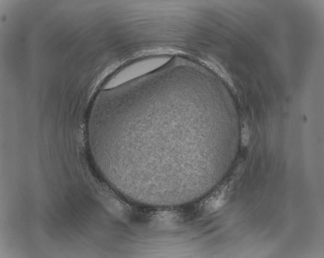 X0000076350111200610161809