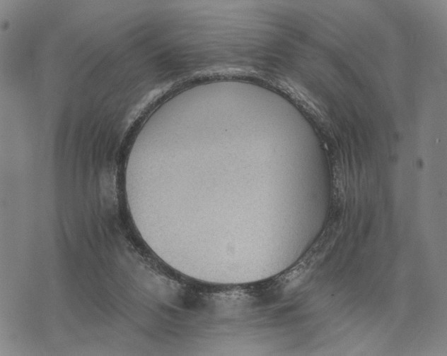 X0000076350112200610161809