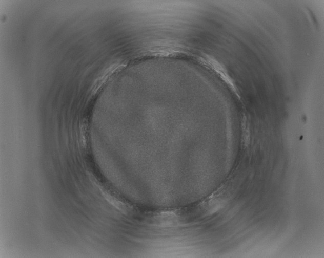 X0000076350114200610161808