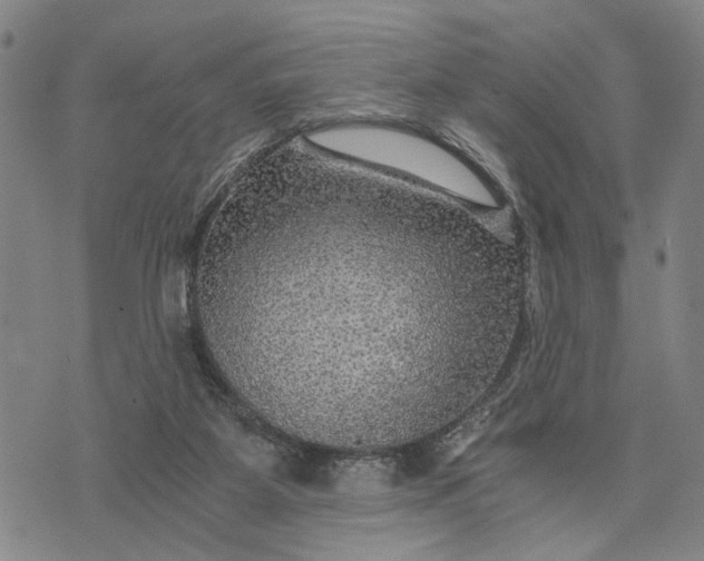 X0000076350115200610161808