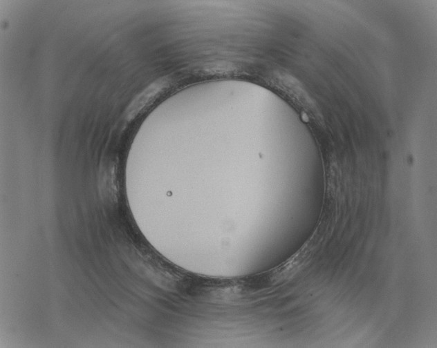 X0000076350116200610161808