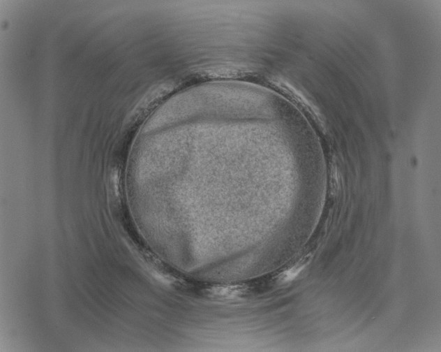 X0000076350117200610161808