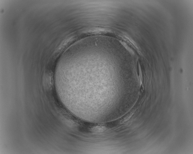 X0000076350119200610161808