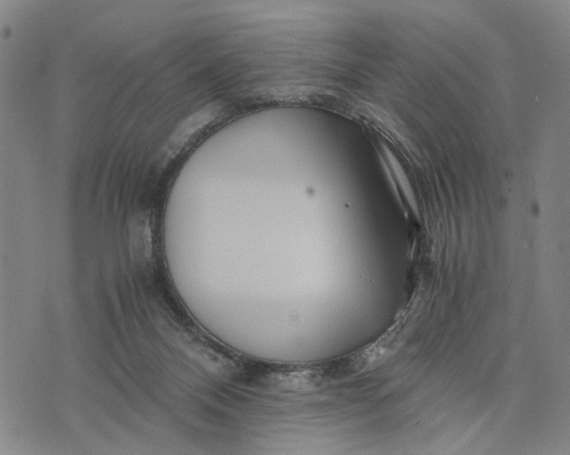 X0000076350120200610161808