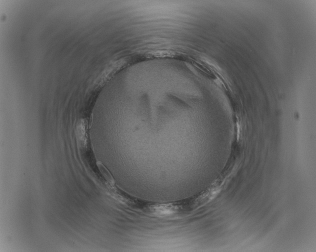 X0000076350121200610161808