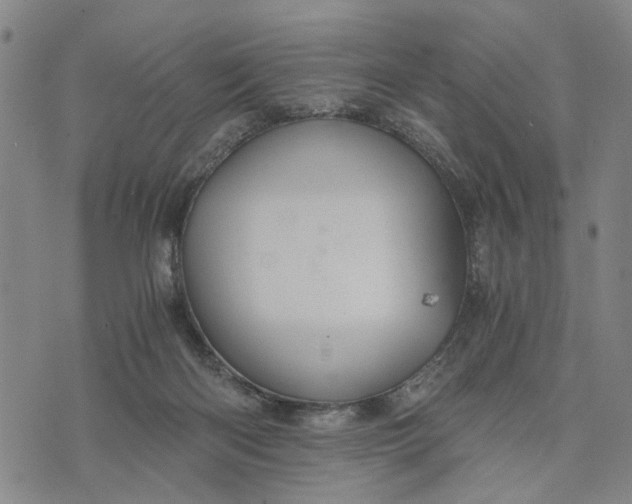 X0000076350122200610161808