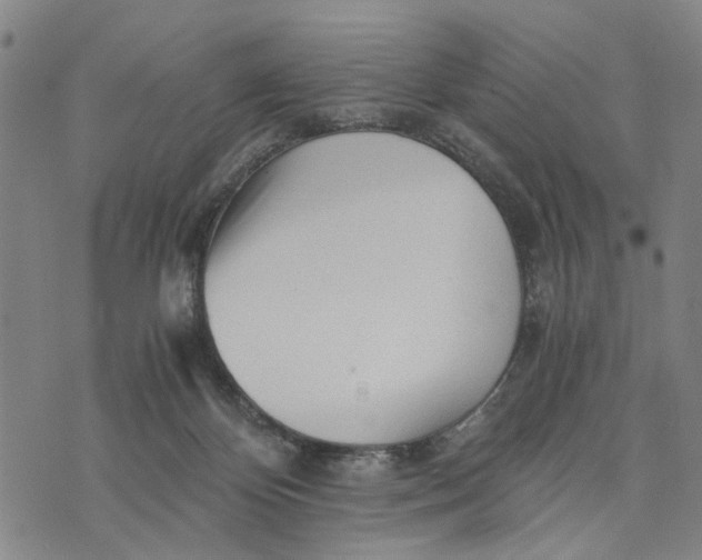 X0000076350124200610161808