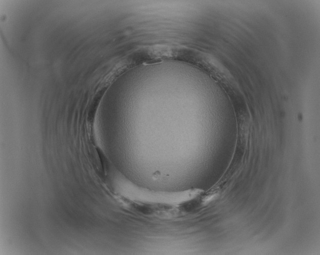 X0000076350125200610161808