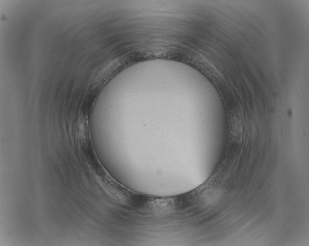 X0000076350126200610161808