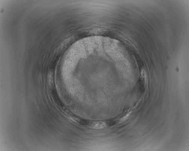 X0000076350127200610161808