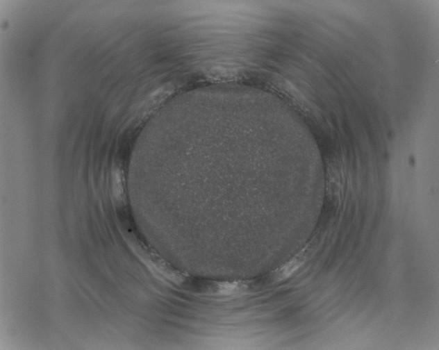 X0000076350130200610161808