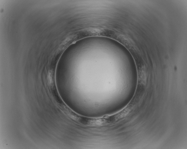 X0000076350131200610161808