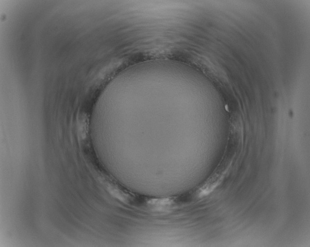 X0000076350133200610161808