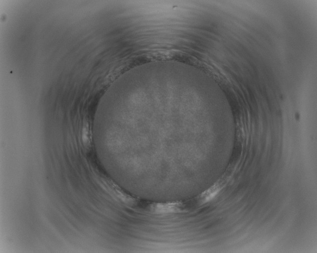 X0000076350134200610161808