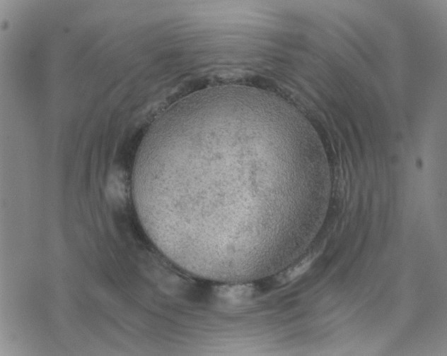 X0000076350135200610161808