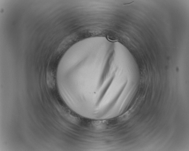 X0000076350136200610161808