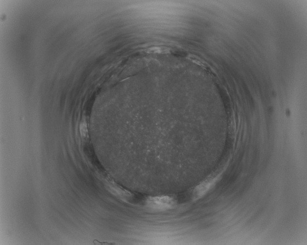 X0000076350137200610161808