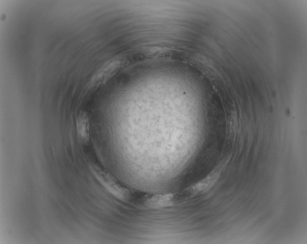 X0000076350138200610161808