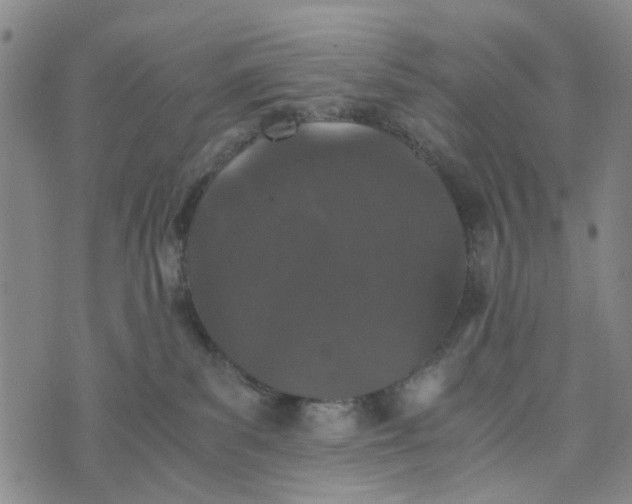 X0000076350139200610161808