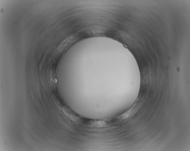 X0000076350140200610161808