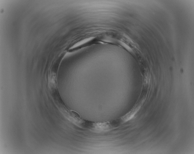 X0000076350141200610161808