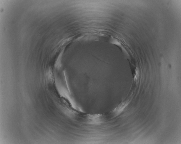 X0000076350143200610161808